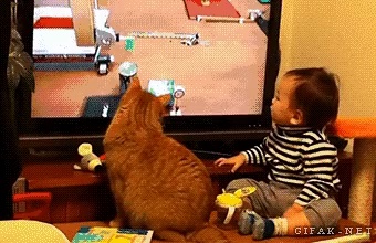 Synchronization of cats and children short MP4 video