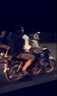 A motorcycle dog short MP4 video
