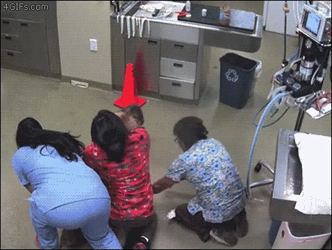 veterinary